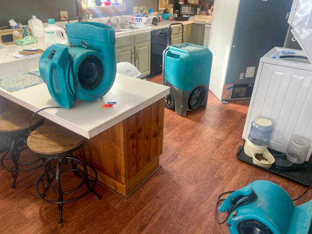 Best Ceiling water damage repair  in Sunnyslope, WA