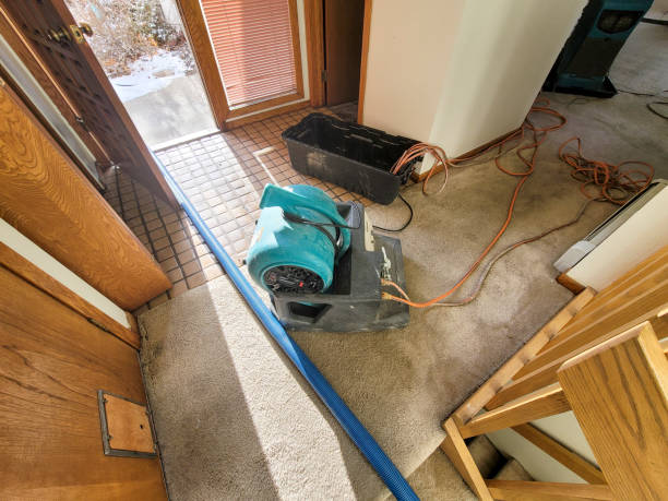 Best Water damage restoration services  in Sunnyslope, WA