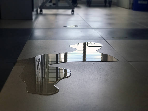 Best Commercial water damage restoration  in Sunnyslope, WA