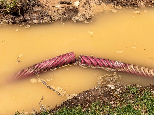 Best Flood restoration services  in Sunnyslope, WA